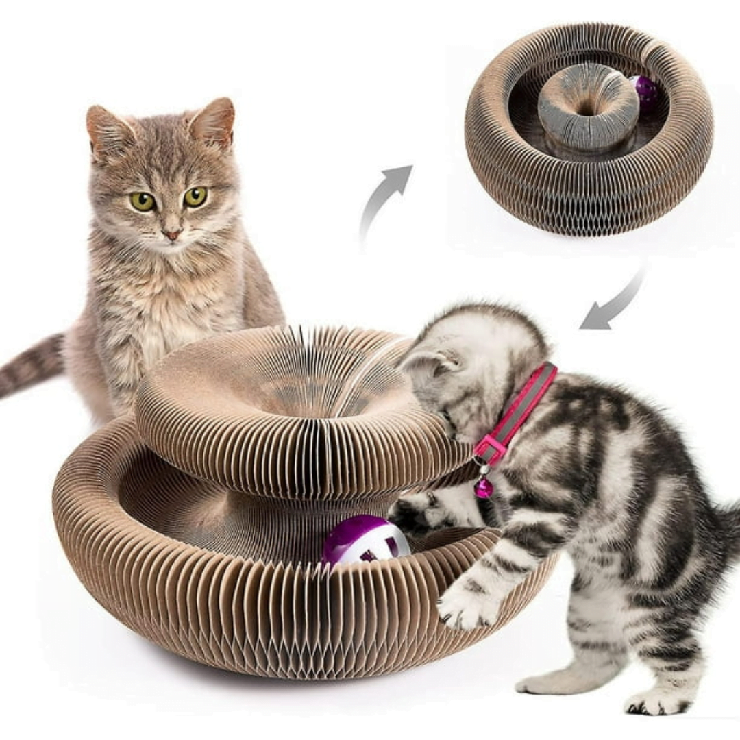 Rascador para Gatos Con órgano Mágico - HappyCat