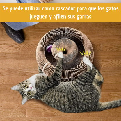 Rascador para Gatos Con órgano Mágico - HappyCat