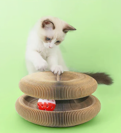 Rascador para Gatos Con órgano Mágico - HappyCat